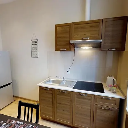 Rint - Centrum Wieniawska Street Apartment